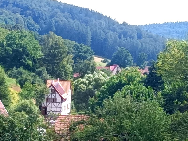 Frische Webseite – und bald geht's ins Haus am Birnbaum!